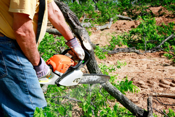 Lawn Grading and Leveling in Manhattan, MT